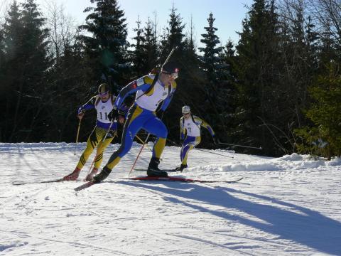 PRYMA Roman, BOBKOV Dmytro, POCHYNOK Oleksandr