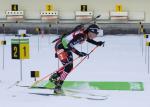 Ruhpolding 2011. Pursuits Ruhpolding 2011. Pursuits