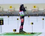 Ruhpolding 2011. Pursuits Ruhpolding 2011. Pursuits