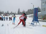 V winter youth games, Tysovets