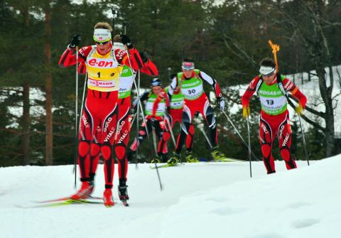 BOE Tarjei