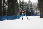 Nove Mesto 2014. Sprints and junior training