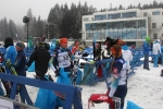 Nove Mesto 2014. Pursuits