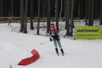 Nove Mesto 2014. Junior mixed relay