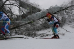 Nove Mesto 2014. Junior mixed relay