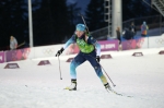 Sochi 2014. Golden relay Sochi 2014. Golden relay
