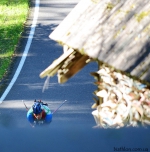 Otepaa 2016. Sprints Otepaa 2016. Sprints
