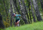 Ukrainian Summer Championship 2016. Mixed relay