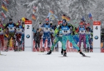 Ruhpolding 2017. Pursuits Ruhpolding 2017. Pursuits