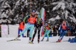 Ruhpolding 2017. Pursuits Ruhpolding 2017. Pursuits