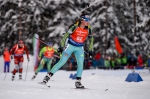 Ruhpolding 2017. Pursuits Ruhpolding 2017. Pursuits