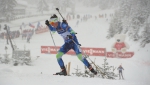 Hochfilzen 2017. Pursuits Hochfilzen 2017. Pursuits