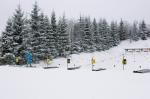 Кубок Украины 2010, Тысовец Кубок Украины 2010, Тысовец