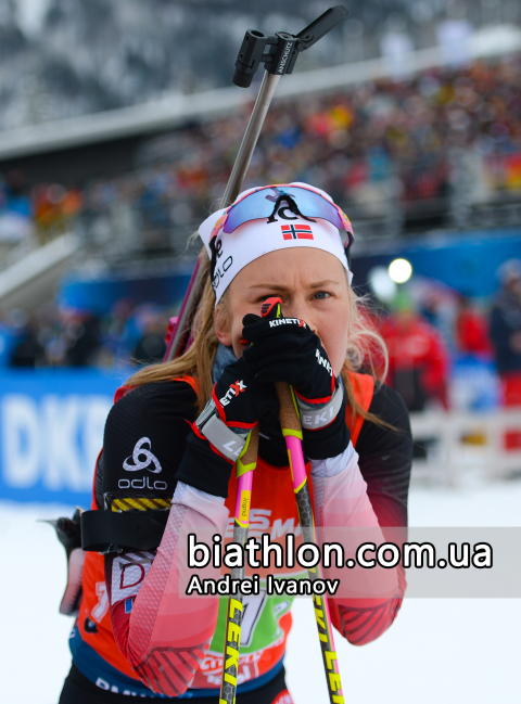 -  TANDREVOLD Ingrid Landmark 
