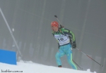   2016.  IBU, 