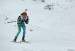  2016.  IBU